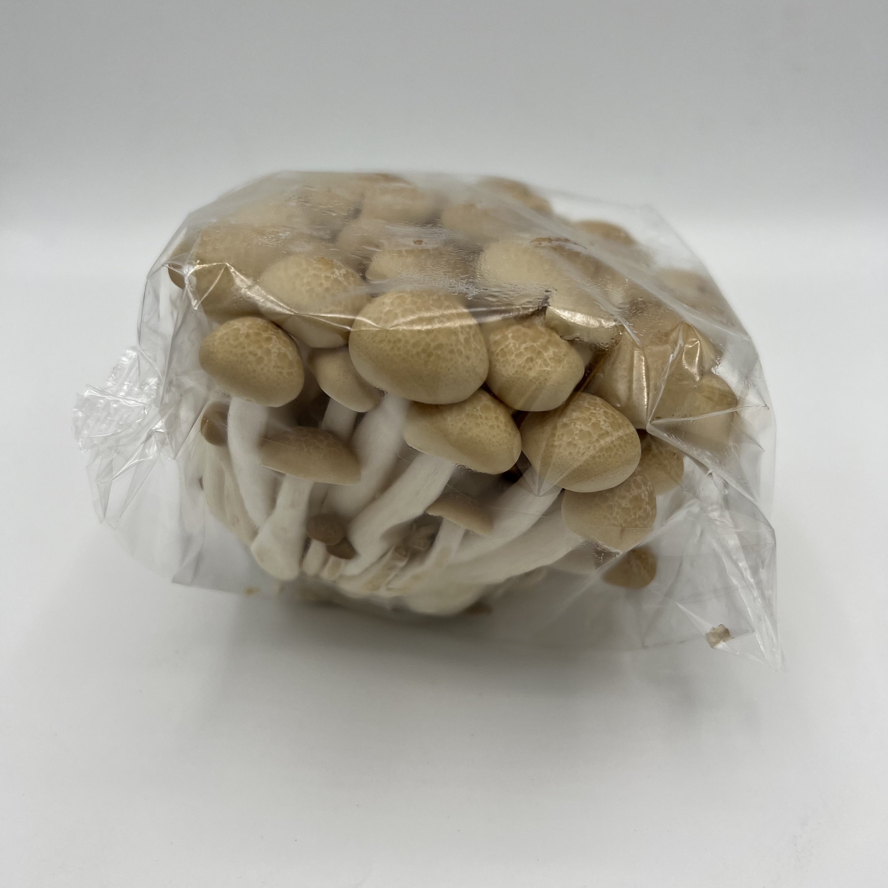 Brown Beech Mushrooms