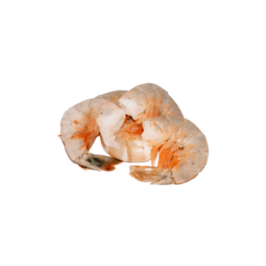 16/20 headless shrimp